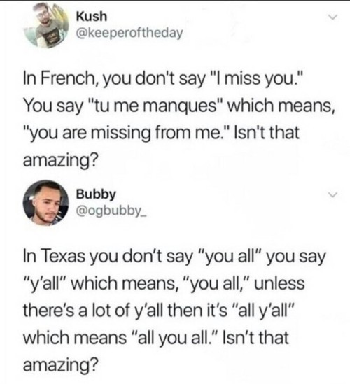 whitepeopletwitter - French Lessons