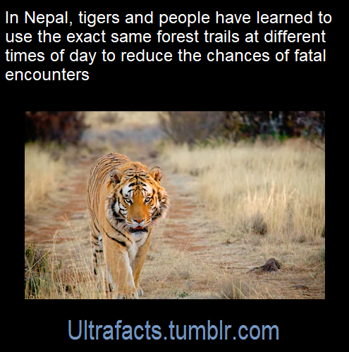 ultrafacts - Source - [x]Click HERE for more facts!