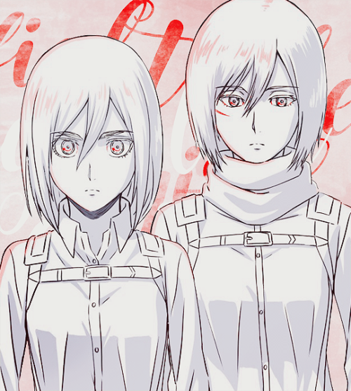 sookashira - Historia & Mikasa