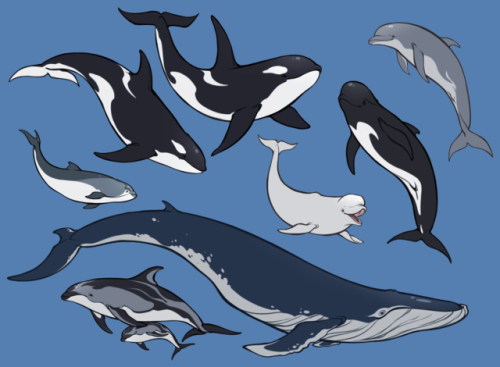 hatteeho - just doodled some dolphins and whales, because I love...