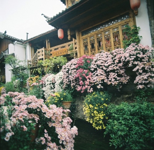 floralls - Autumn at Lijiang old town, China byNgoc Hung