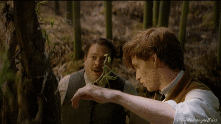 theredmaynefiles - Pickett the Bowtruckle“I’m obsessed with...