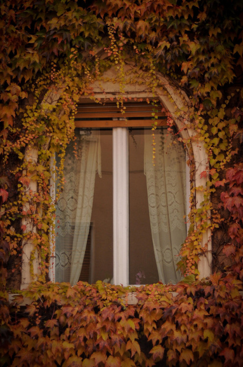 andantegrazioso - Autumn fairytale |...
