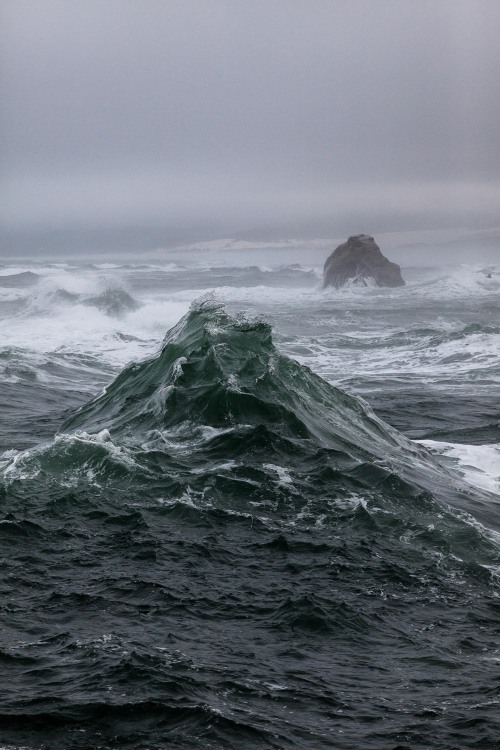 thisnormallife:Pacific City, OR |June 2015|©Steven Clouse 