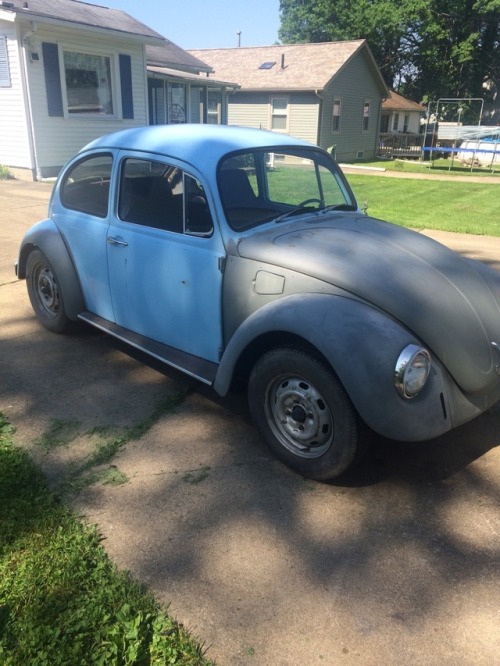 Drag buggy broke so I bought a 68 beetle to play with keeping it...