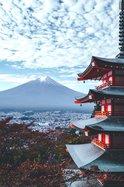 tryintoxpress:Japan - Photographer ¦ Lifestyle - Nature -...