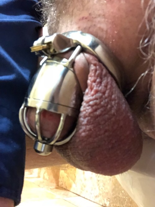 short dicks and chastity