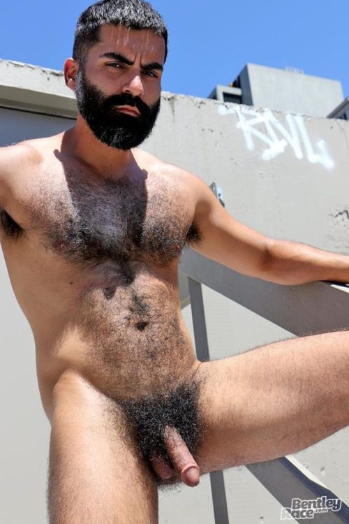 hairynerd - aviatorguy - They don’t come thinker than...