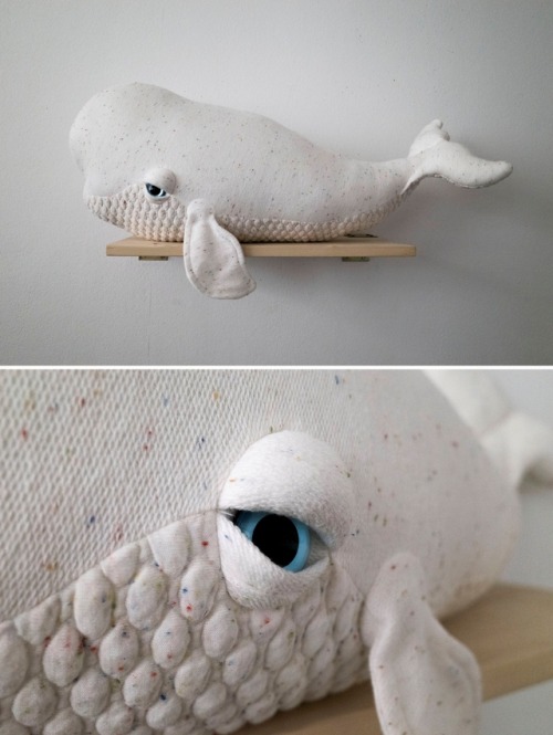 jensteed - sosuperawesome - Albino Sea Creatures by Big Stuffed...
