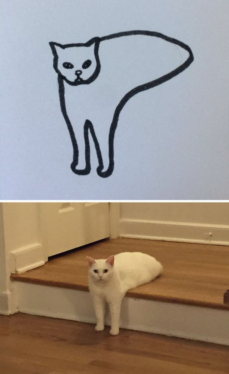 catsbeaversandducks - Super-realistic!By poorly drawn cats