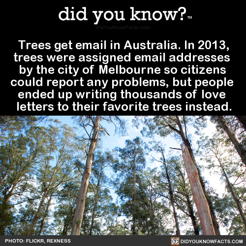 trees-get-email-in-australia-in-2013-trees-were