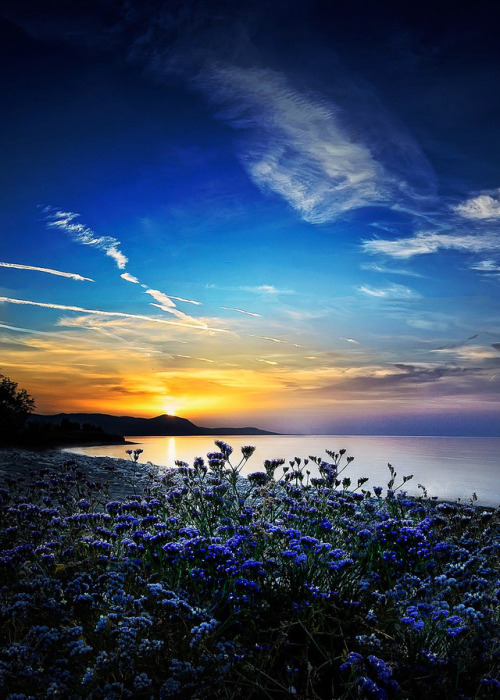 coiour-my-world:Sunset at Polis Bay ~ Albena Markova