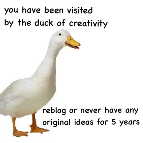 laderdesders1:fitmaree:Can’t risk itThe duck of creativity....
