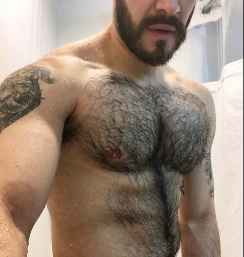 hairytreasurechests - FOLLOW MY OTHER TUMBLR BLOGS - Hairy,...
