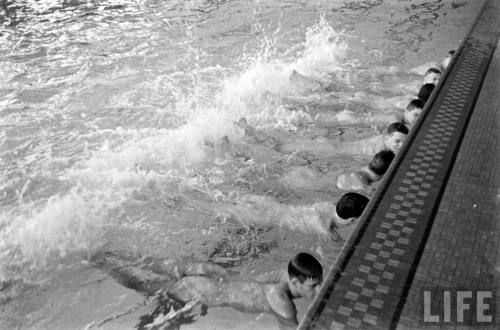ultrawolvesunderthefullmoon - The YMCA Swimming Poolit was...