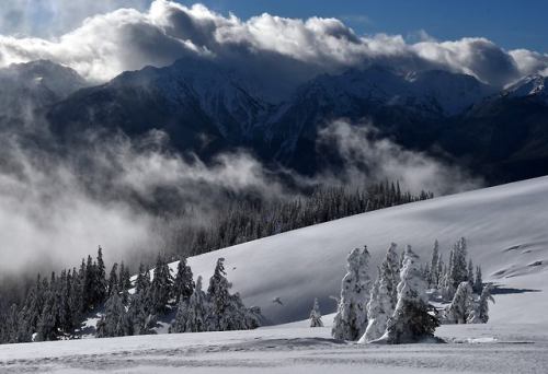 Are you excited for the Winter Olympics? How about winter at Olympic National Park in Washington? With amazing chances to ski and skate – plus breathtaking views along Hurricane Ridge – this park is a gold medal winner! Photo by Megan Juran, National...