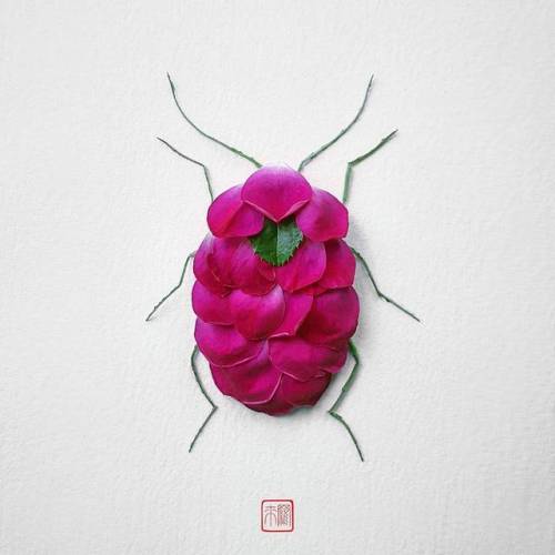 itscolossal - Insect Flower Arrangements by Raku Inoue