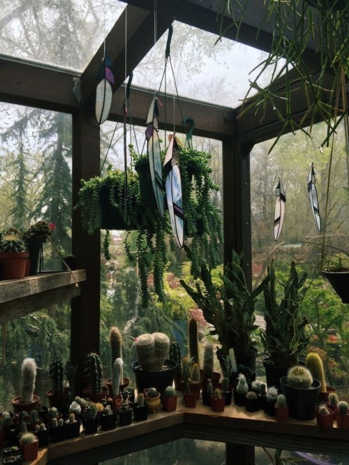 hippiecharm - wheres-my-grimoire - Witchy Greenhouse 