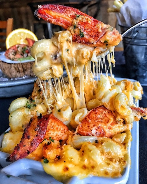 yummyfoooooood - Lobster 4-Cheese Mac & Cheese