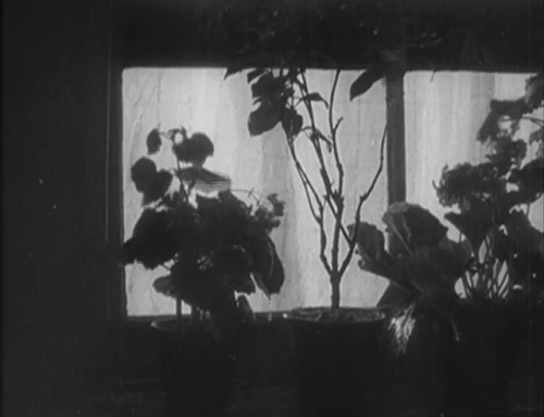 violentwavesofemotion - Ecstasy (1933)dir. by Gustav Machatý
