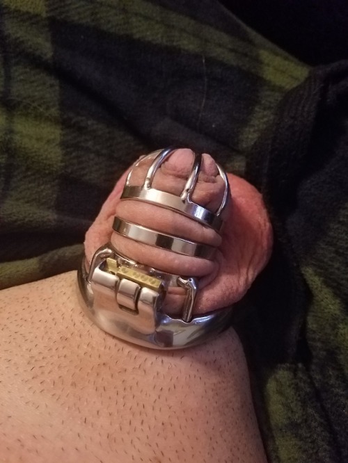 chastity-nerd - Which way do you think looks better?