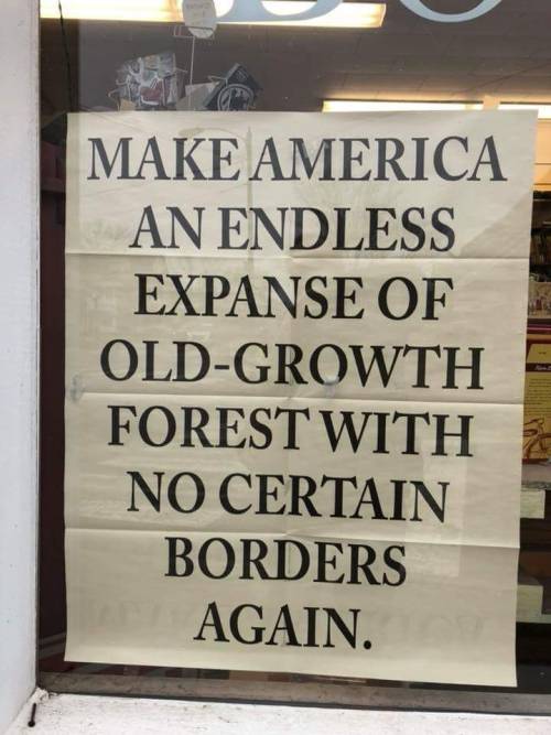 plaid-flannel:Seen in the window at Gulf of Maine Books in...