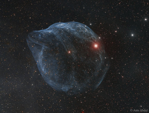 Sharpless 308 - Star Bubble