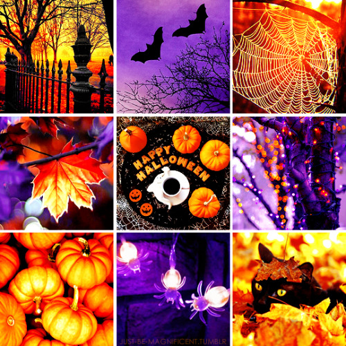 just-be-magnificent - seasonal moodboards - halloween 