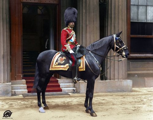 themaninthegreenshirt - King George V, Buckingham Palace [1914]