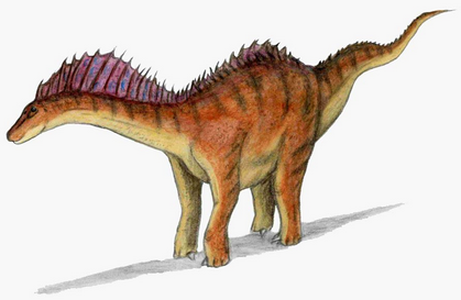 Not-Aurorus, a.k.a. Amargasaurus, a (probably) sail-necked sauropod from the early Cretaceous period.