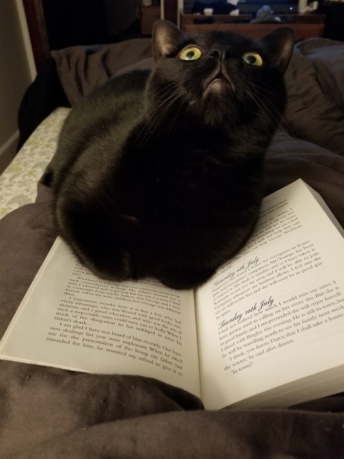 slytherintobed:I just want to read you adorable monster