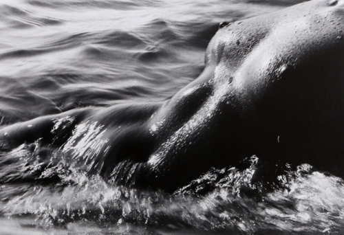 adanvc - Nude La Mer. 1980.by Lucien Clergue
