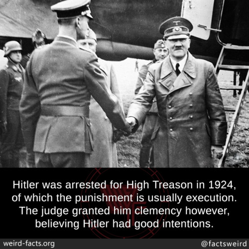 mindblowingfactz - Hitler was arrested for High Treason in 1924,...