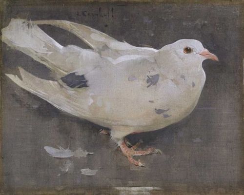 heartbeat-of-leafy-limbs - JOSEPH CRAWHALL Pigeon [circa 1890]