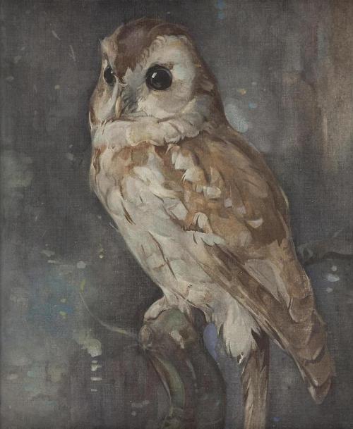 the-paintrist - heartbeat-of-leafy-limbs - JOSEPH CRAWHALL Owl...
