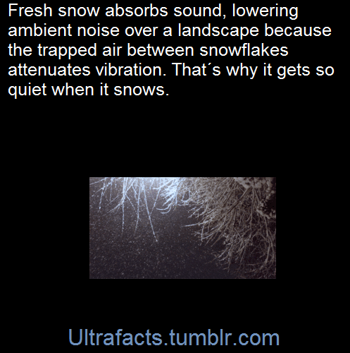 ultrafacts - When a fresh batch of snow falls to the ground, the...