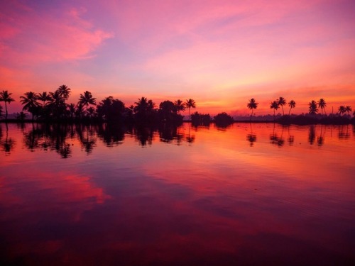 certain-rivers - Kerala sunset