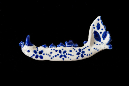 artofmaquenda:A ceramic jaw, made with a slip cast based on my...