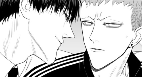 guanshanbabyfox - “300 000 copies almost reached”By Old Xian 