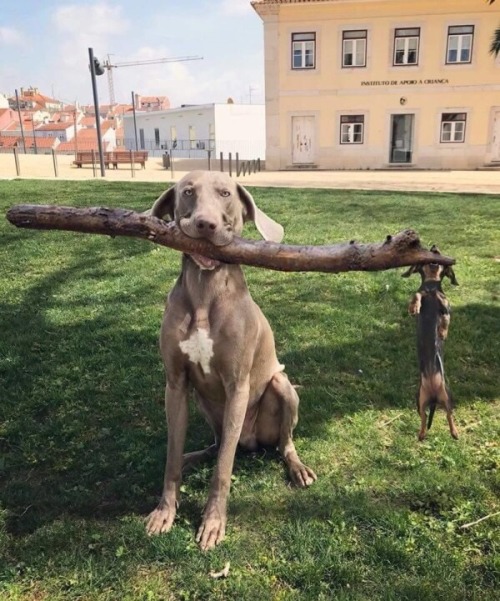 lovelife1818 - redmachasacorns - Branch manager ?And his...
