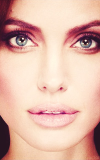 Angelina Jolie Tumblr_mwrljmXOKb1sfx5blo5_250