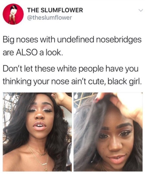 miseducatedmelanicmuse - Afrocentric noses are beautiful, don’t...