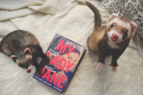 the-book-ferret:“We’d fight so much less if everyone would...