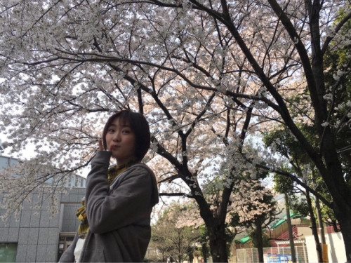 pound66 - Sakura | 工藤遥オフィシャルブログ「ハルカメラ」Powered by Ameba