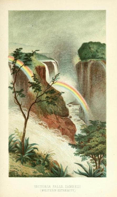 smithsonianlibraries - Find a Rainbow Day may or may not be an...
