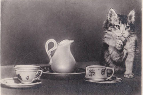 sovietpostcards - Kitten drinking tea, 1957 (buy here)