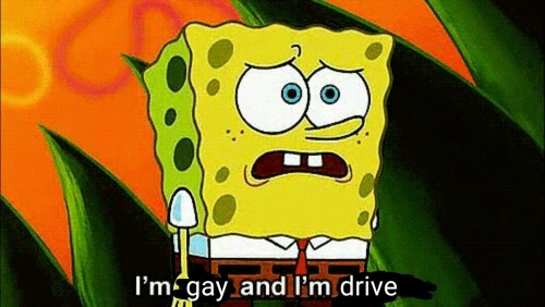 duzk:duzk:All this talk about gays not being able to drive is blatant erasure of those of us...
