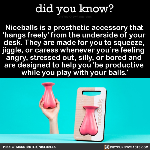 did-you-kno - Niceballs is a prosthetic accessory that ‘hangs...