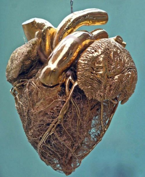 sixpenceee - Gold resin cast of a bovine heart, revealing the...