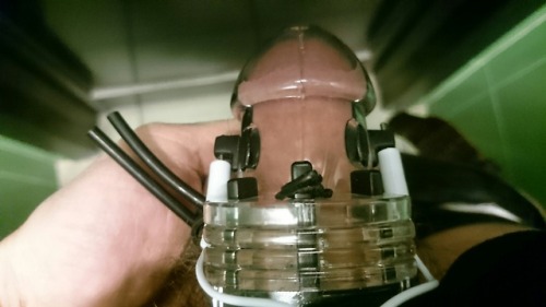 Caged and ready for electro shock…